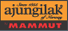 Schlafsack von Ajungilak